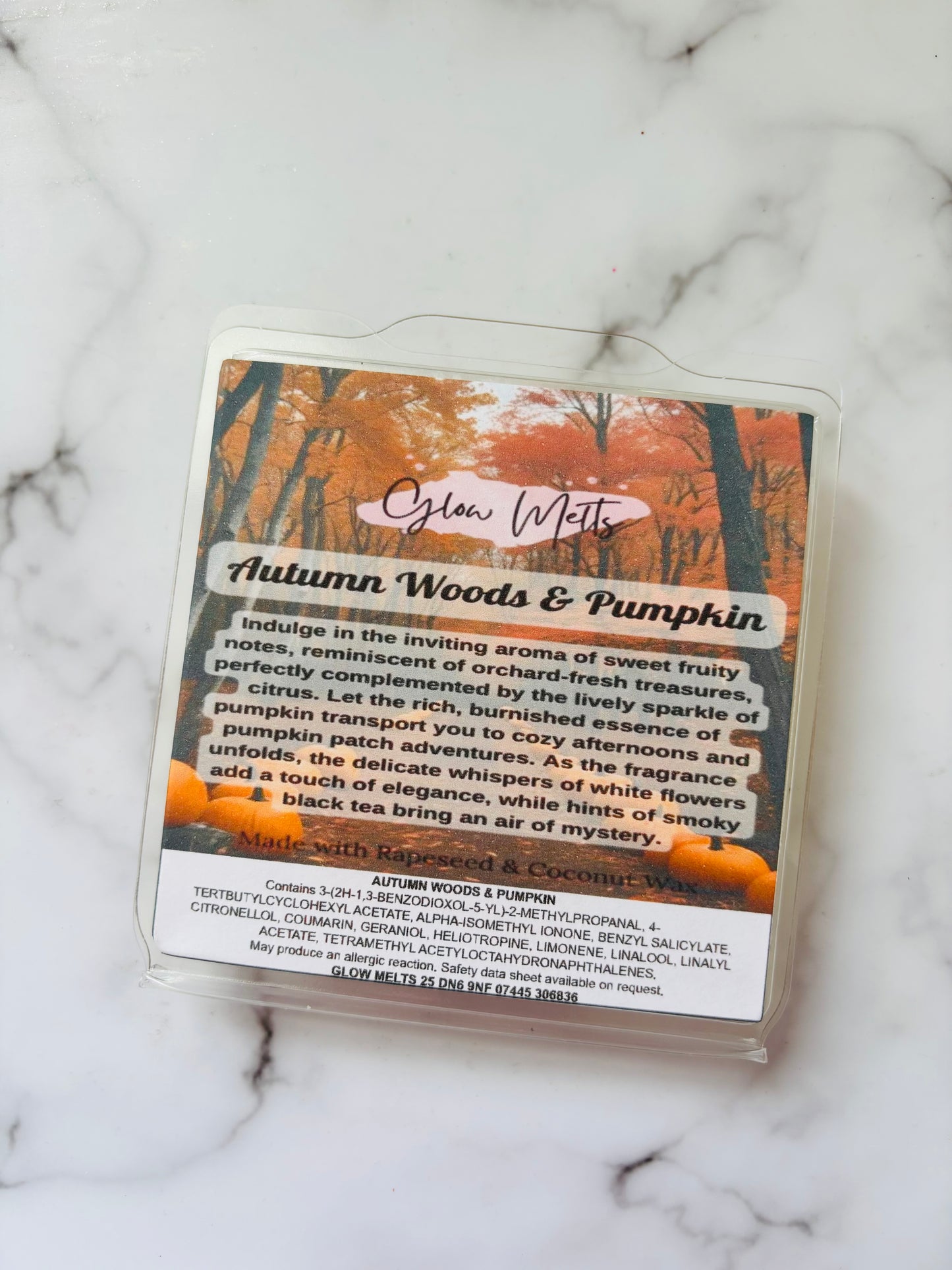 Autumn Woods & Pumpkin